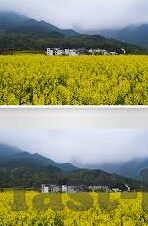 丹麦足球近期比分-丹麦足球，近期比分背后的战术博弈与未来展望